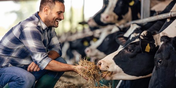 Luis Bautista Garrido Palacio | Guía Maestra de Nutrición