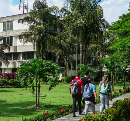 Universidad Bicentenaria de Aragua | Línea de investigación