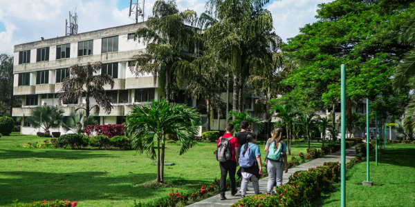 Universidad Bicentenaria de Aragua | Línea de investigación