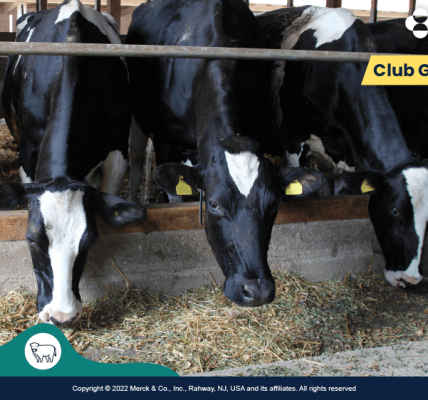 Luis Alejandro Sampayo Cabada | Salud en el Hato