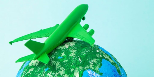 José Leggio Cassara | Logística de "Corredores Verdes"