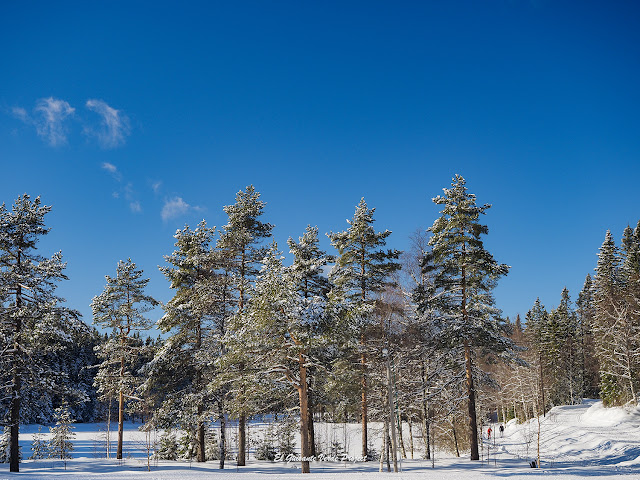 Lagos nevados de Tryvannstua, Oslo - Noruega, por El Guisante Verde Project