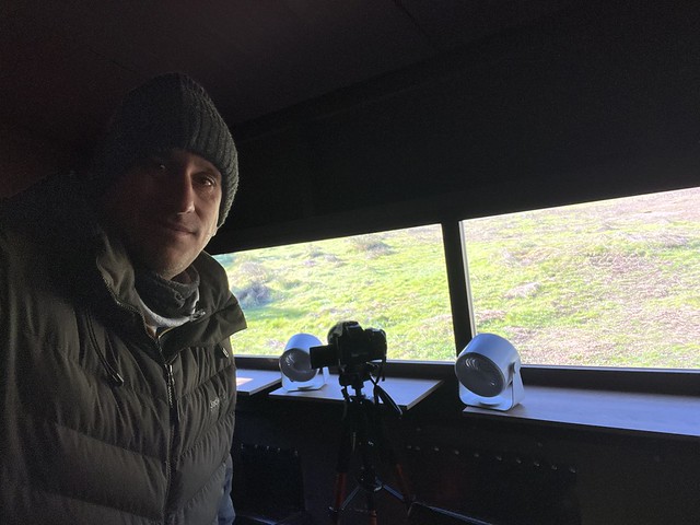 Sele en el hide de Sierra de Andújar (Jaén)