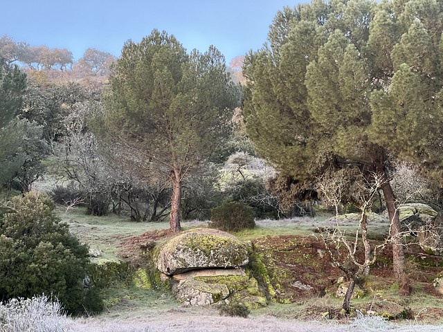 Ese es el escenario que tenía delante en el hide de Sierra de Andújar (Jaén)
