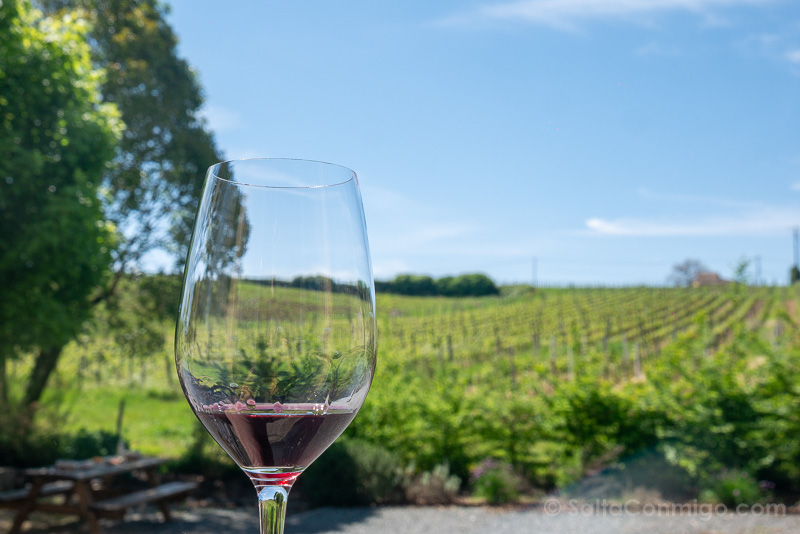 Que Hacer en Saint-Emilion Bodega Chateau Rol-Valentin Vides