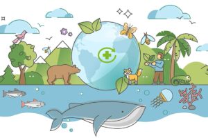 biodiversidad