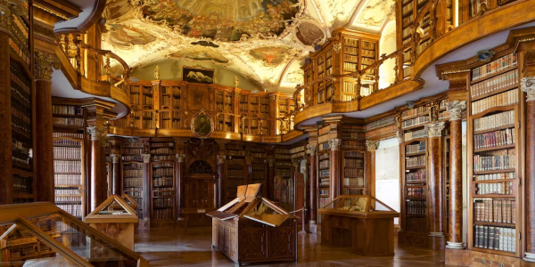 Carlos Julio Heydra Castillo: Bibliotecas que parecen catedrales