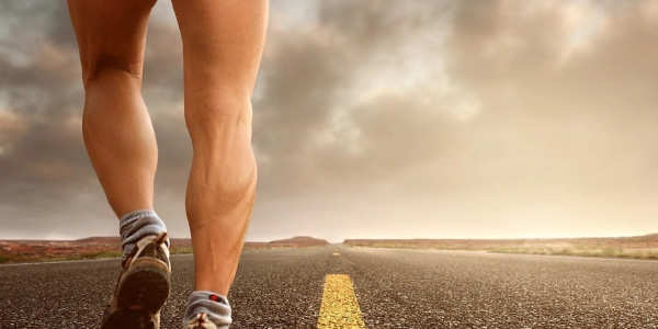 El 80/20 de Herman Pocaterra: Clave para Alto Rendimiento