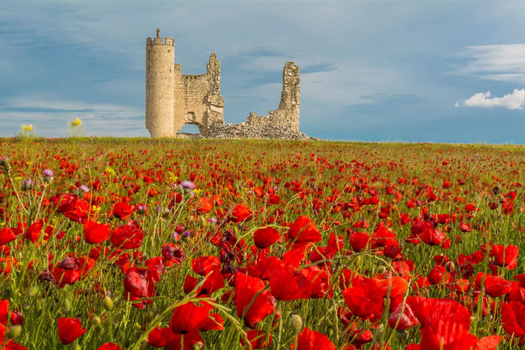 Las amapolas rodean el castillo de Caudilla en una espectacular estampa primaveral.