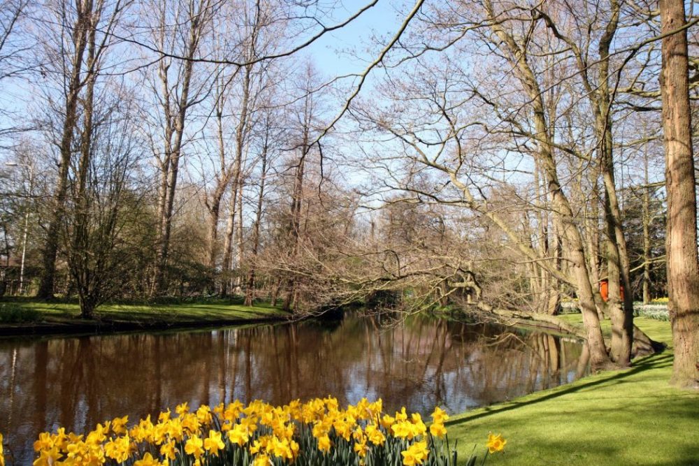 Keukenhof paisajistas