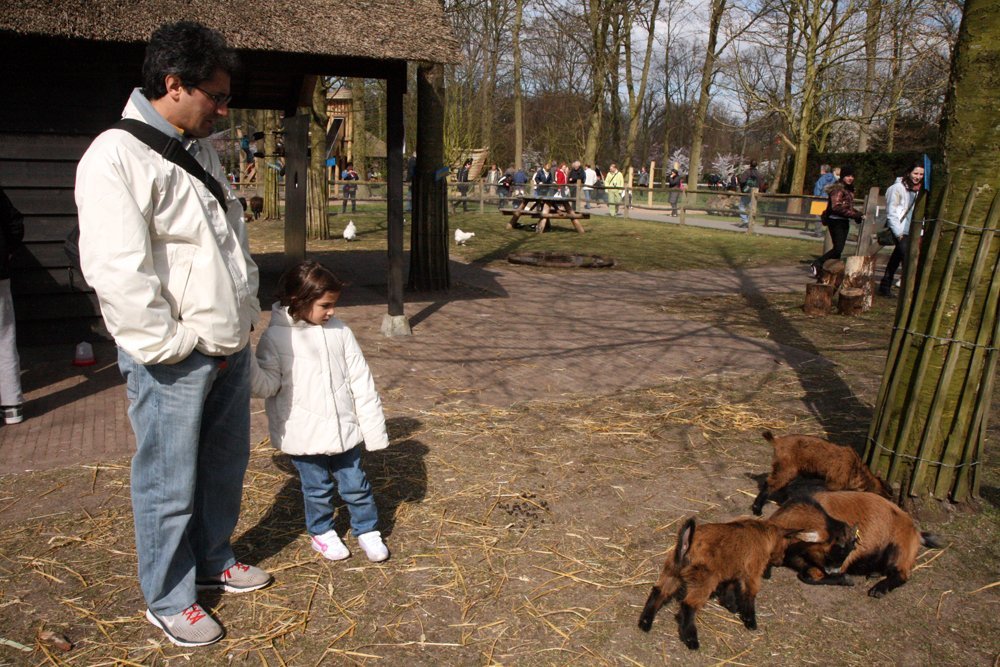 Area con animales en Keukenhof