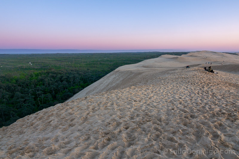 Duna de Pilat Francia Bosque