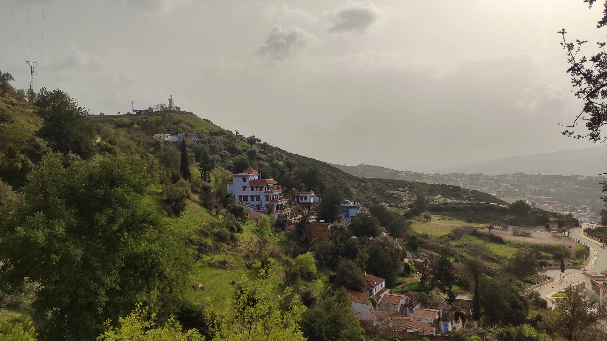mezquita y campos verdes