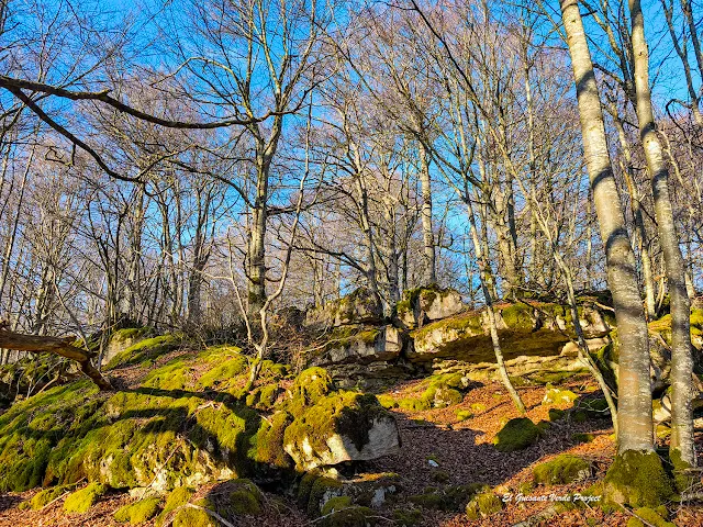 Alava, Laberinto de Katarri, rocas y hayas, por El Guisante Verde Project