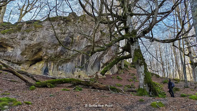 Alava, Laberinto de Katarri, sendero hacia Azkueta, por El Guisante Verde Project
