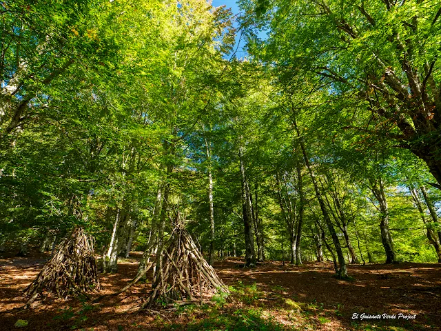 Alava, Laberinto del Arno, pilas de madera, por El Guisante Verde Project