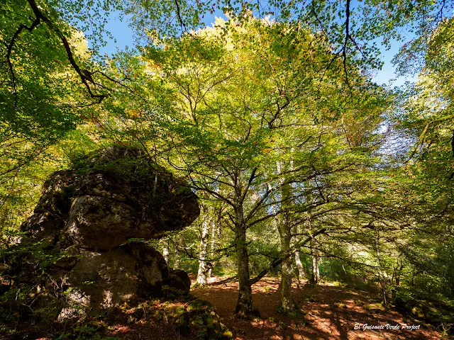 Alava, Laberinto del Arno, rocas, por El Guisante Verde Project