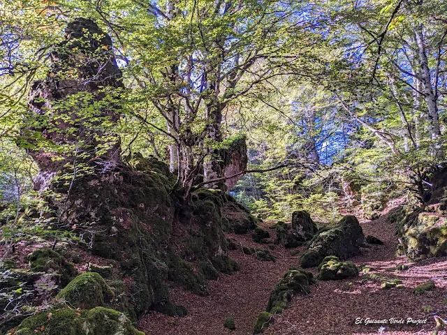 Alava, Laberinto del Arno, sendero, por El Guisante Verde Project