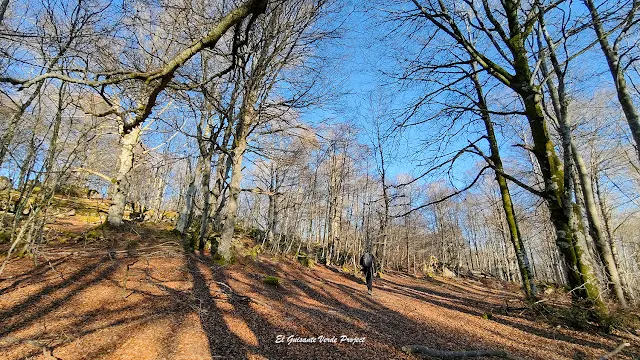 Alava, Laberinto de Katarri, sendero de Lazkueta, por El Guisante Verde Project