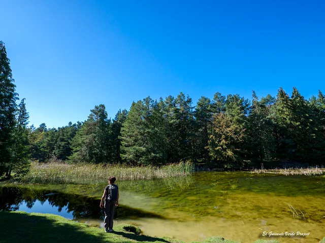 Balsa de Iturbatz o de los Alemanes, por El Guisante Verde Project