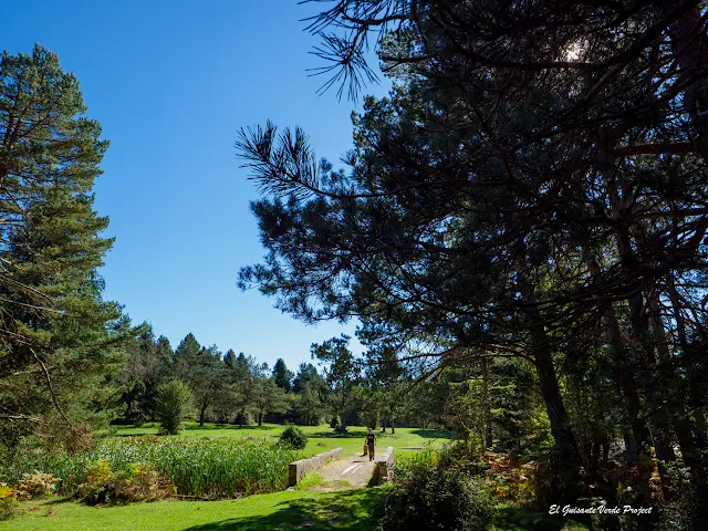 Alava, Laberinto del Arno, puente de la balsa Iturbatz, por El Guisante Verde Project