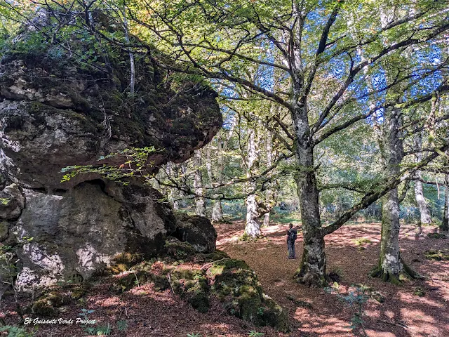 Alava, Laberinto del Arno, rocas en el hayedo, por El Guisante Verde Project