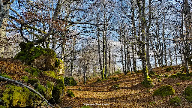 Alava, Laberinto de Katarri, sendero hacia Lazkueta, por El Guisante Verde Project