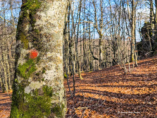 Alava, Laberintos Arno y Katarri, marcas rojas, por El Guisante Verde Project