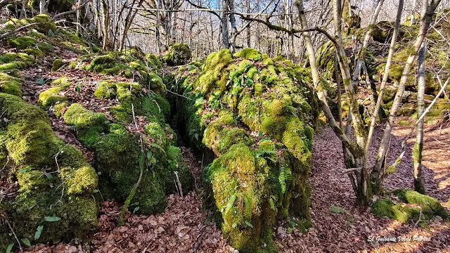 Alava, Laberinto de Katarri, rocas y musgo, por El Guisante Verde Project