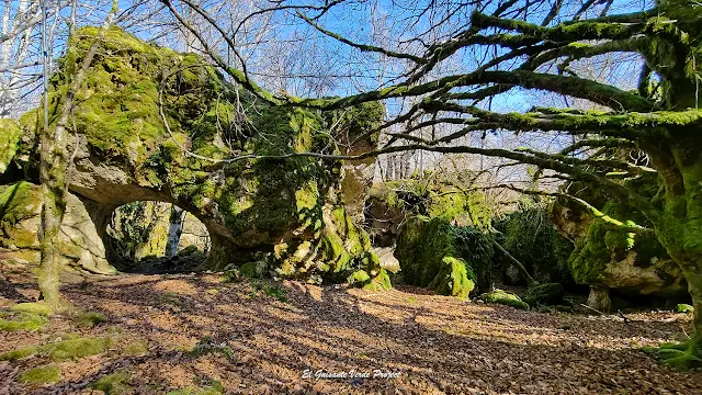 Alava, Laberinto de Katarri, arco de Katarri, por El Guisante Verde Project
