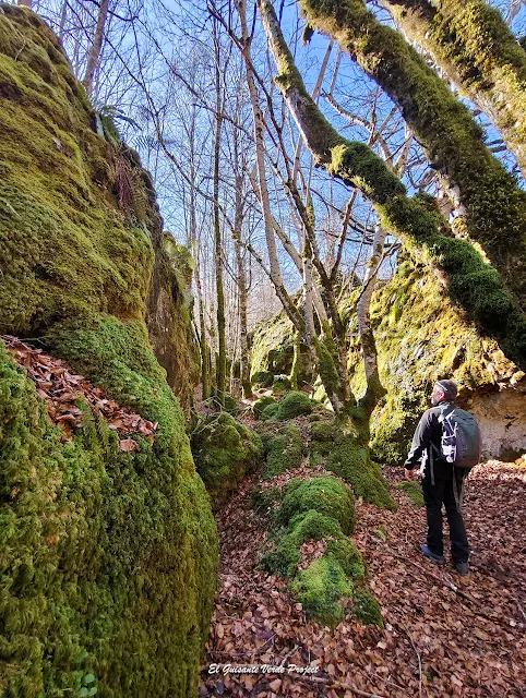 Alava, Laberinto de Katarri, sendero de entrada, por El Guisante Verde Project
