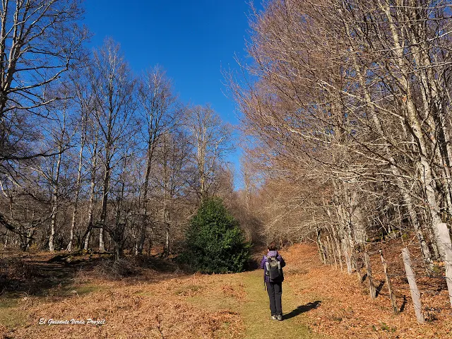 Alava, Laberinto de Katarri, sendero hacia el bosque, por El Guisante Verde Project