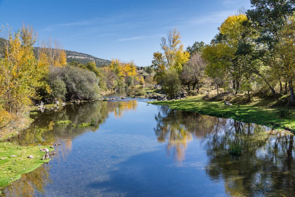 Un río tranquilo refleja árboles con follaje otoñal bajo un cielo azul despejado, rodeado de orillas cubiertas de hierba y colinas lejanas.