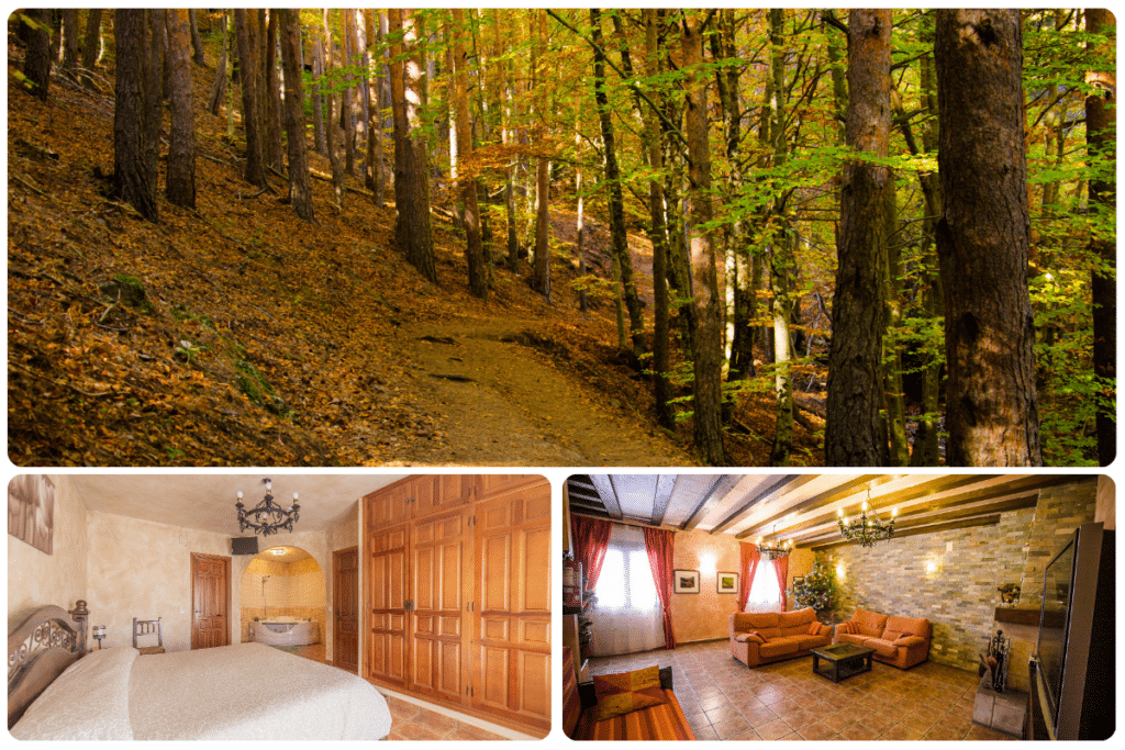 Un collage muestra un sendero forestal en otoño en la parte superior, con dos acogedoras escenas de interior debajo: un dormitorio rústico con muebles de madera y un espacioso salón con paredes de piedra y una cálida iluminación.