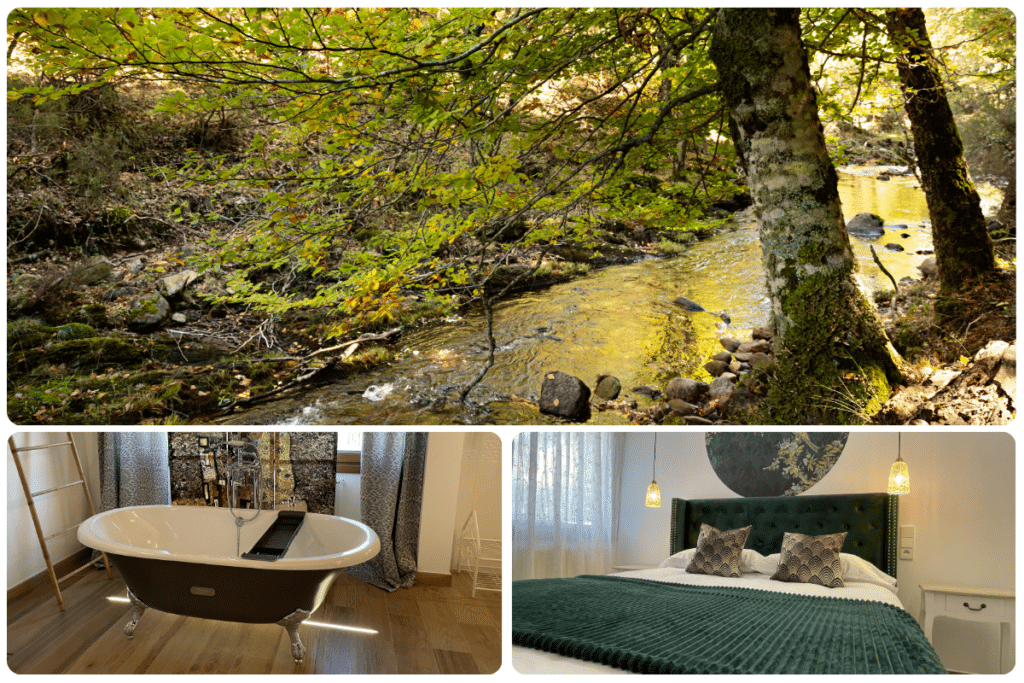 Un collage que muestra un arroyo en el bosque iluminado por el sol, un baño moderno con una bañera exenta negra y un dormitorio acogedor con una manta verde, almohadas y una iluminación suave.