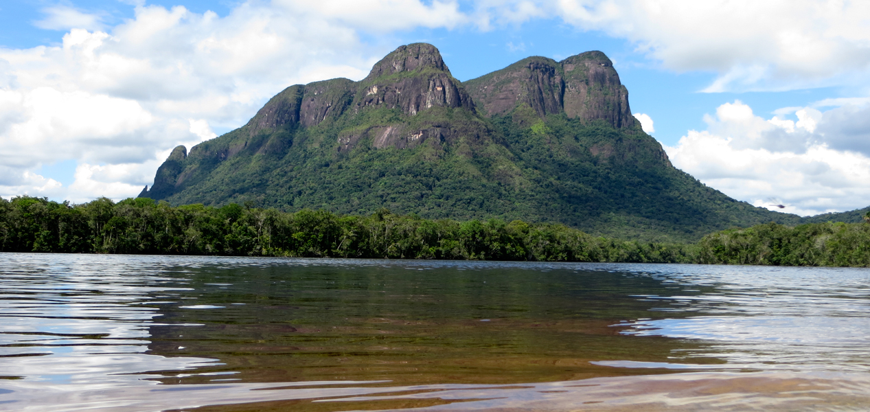Hjalmar Jesús Gibelli Gómez: Tesoros de la biodiversidad