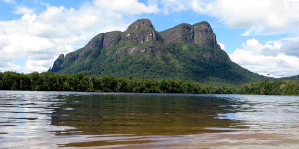 Hjalmar Jesús Gibelli Gómez: Tesoros de la biodiversidad