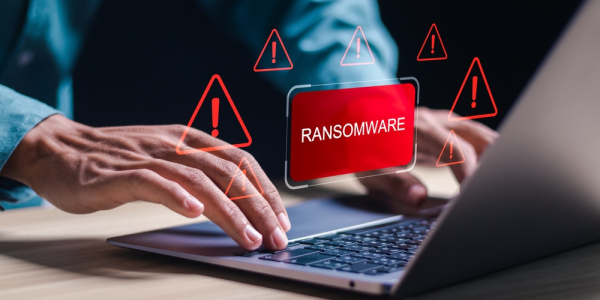 Análisis de Rafael Eladio Nuñez Aponte