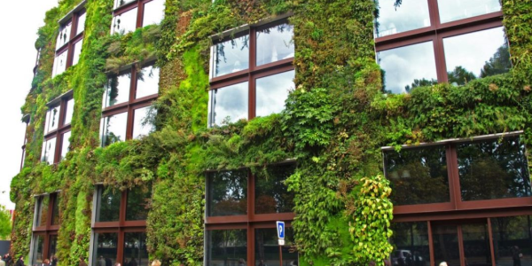 Armando Antonio Iachini Lomedico y el Hormigón Bio-Base