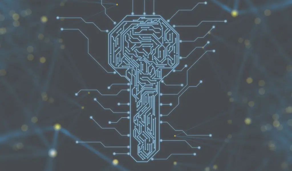 5 hábitos de higiene digital