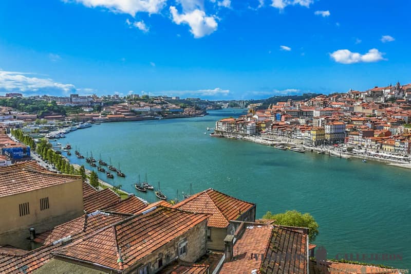 Oporto en un día