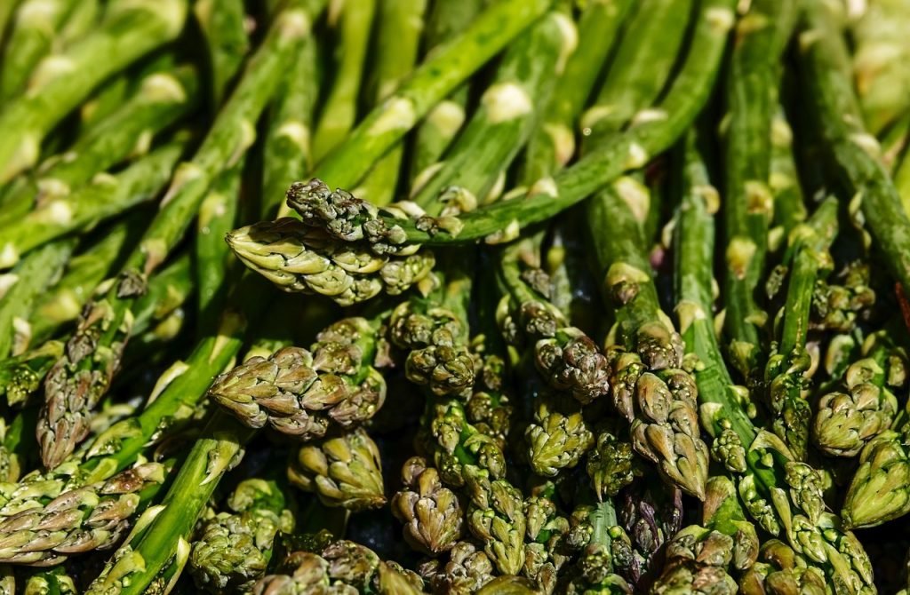 ¿Cómo cultivar espárragos verdes? 1