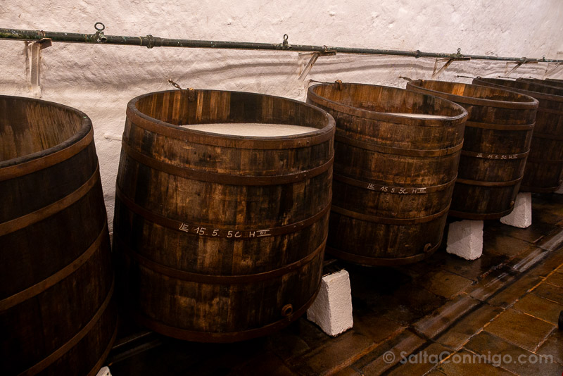 Visita Fabrica Pilsner Urquell Pilsen Republica Checa Fermentacion Alta Barriles