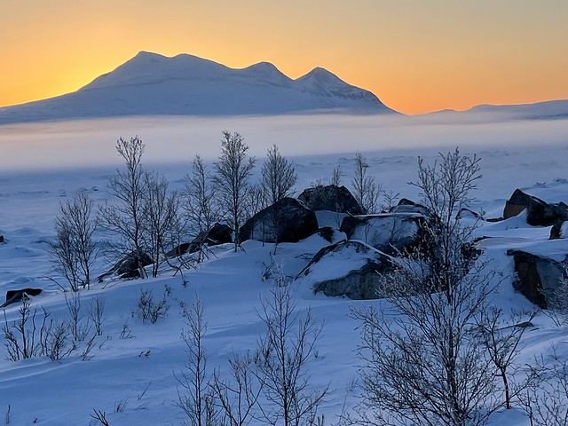 Parque Nacional Stora Sjofallet (Suecia)