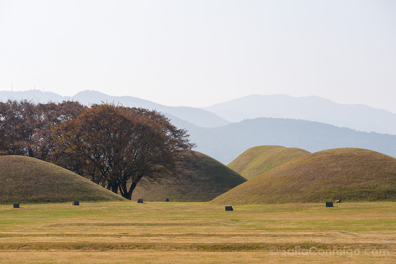 Que Ver en Gyeongju Wolseong Parque Tumulos