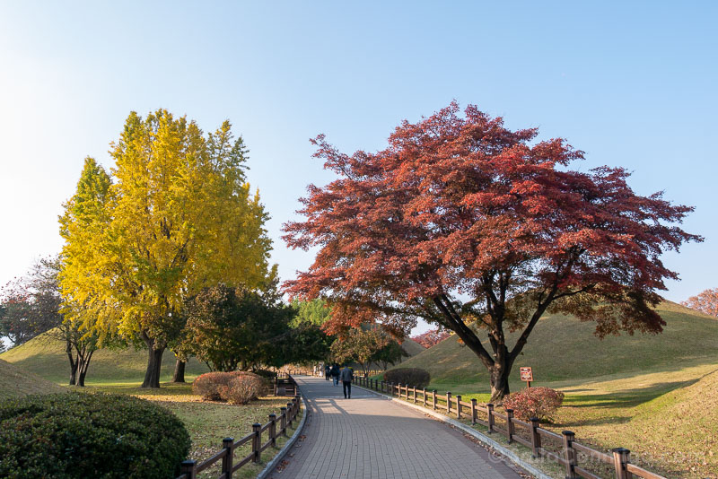 Que Ver en Gyeongju Daereungwon Tumbas Colores