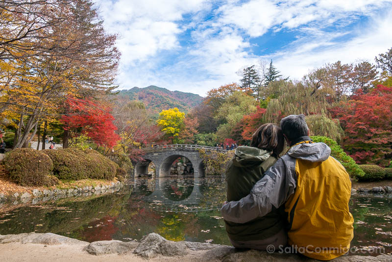 Que Ver en Gyeongju Templo Bulguksa Parque Abrazo
