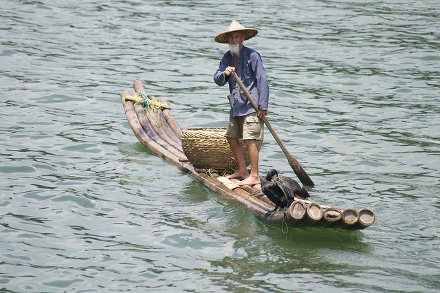 Pescador con cormorán