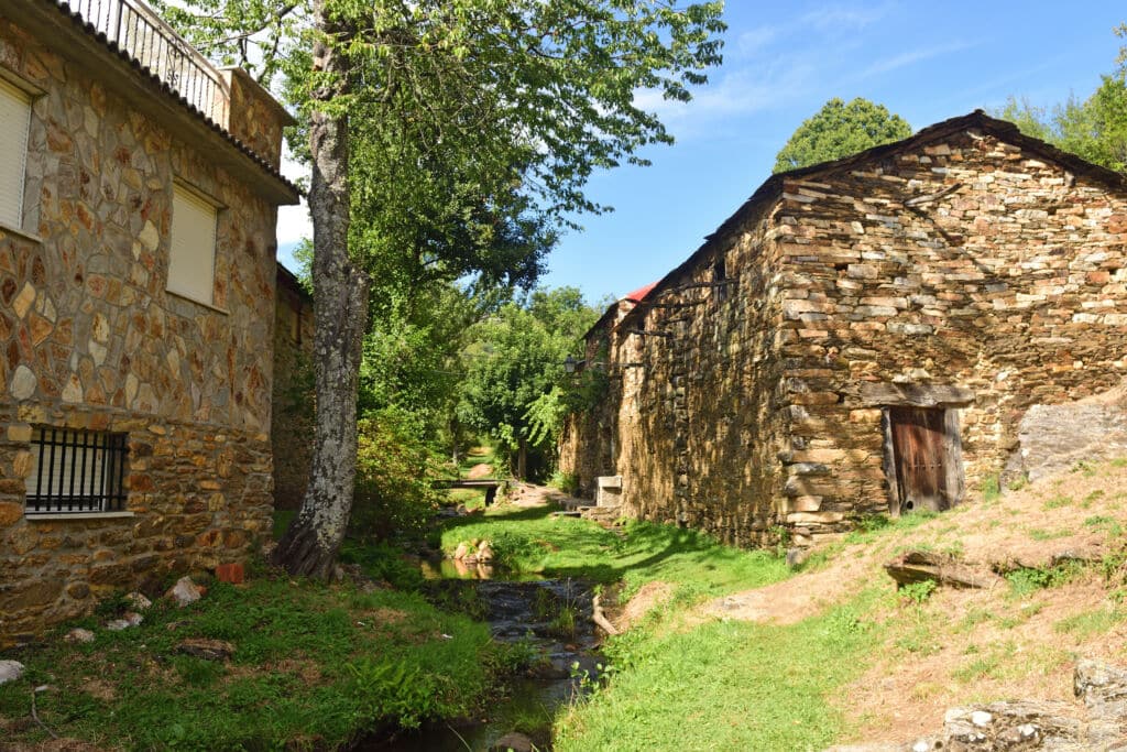 Flechas, en la sierra de la Culebras (Zamora).