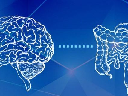 5 Claves de Mariangel Arruebarrera Loreto para Cuidar tu Segundo Cerebro